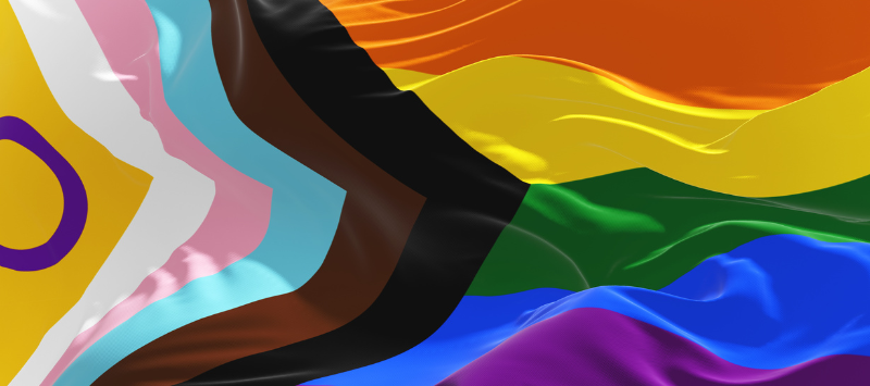 Progress Pride Flag with stripes of black and brown to represent marginalized LGBTIQ+ people of color as well as the triad of blue, pink and white from the trans flag