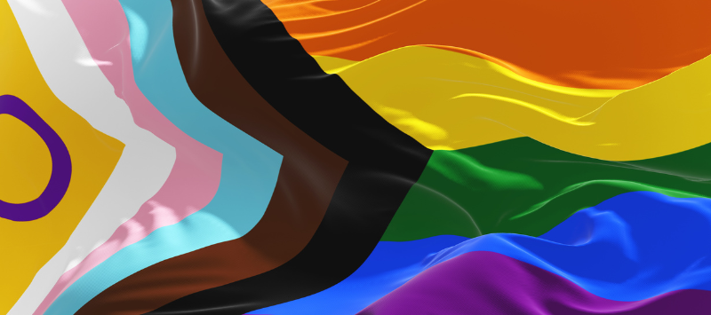 Progress Pride Flag with stripes of black and brown to represent marginalized LGBTIQ+ people of color as well as the triad of blue, pink and white from the trans flag.