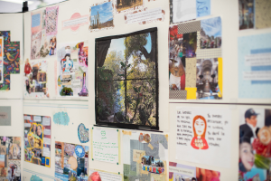 Student display in the library